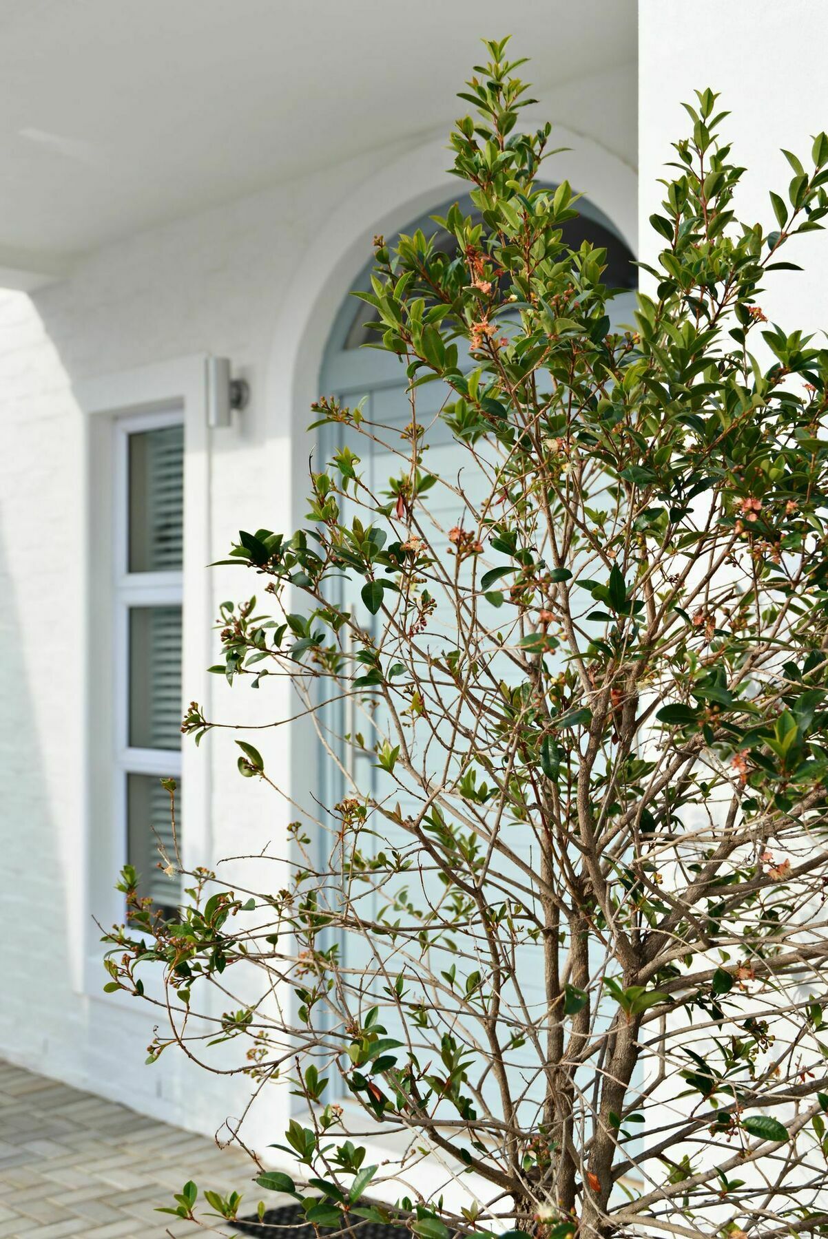 The Gables Hermanus Bagian luar foto